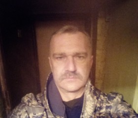 Виктор Баженов, 45 лет, Клин