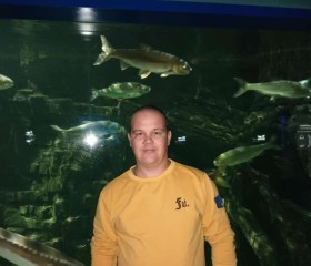 Boris, 38, Zelenograd