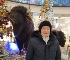 Геннадий, 64 года, Горад Барысаў