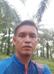 Gultom, 30 лет, Kota Pekanbaru