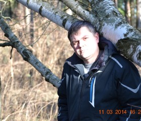 Станислав, 41 год, Ульяновск