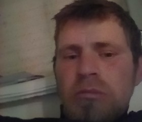Шамиль, 34 года, Владикавказ
