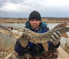 Александр, 53 года, Воронеж