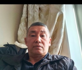 Рашид, 53 года, Алматы