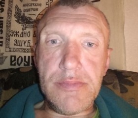 Владимир, 51 год, Псков