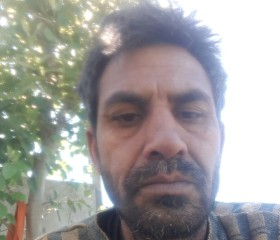 Balwinderkumar, 49 лет, Ashburn