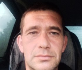 Костя, 44 года, Саров