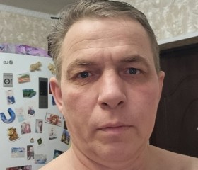 Дмитрий, 49 лет, Кировск (Ленинградская обл.)