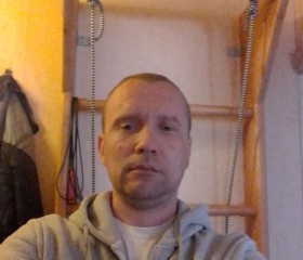 Алексей, 44 года, Волжск