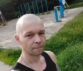 Дмитрий, 40 лет, Подольск