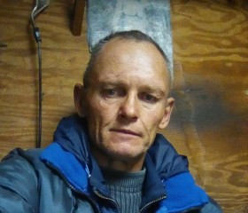 Вадим, 52 года, Воронеж