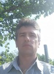Анатолий, 54 года, Симферополь