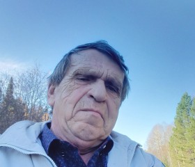 Николай, 71 год, Красноярск