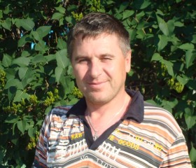 Viktor, 61, Bronnitsy