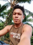 Regarrrtt, 28 лет, Padangsidempuan