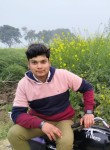 Sumit, 24 года, Agra