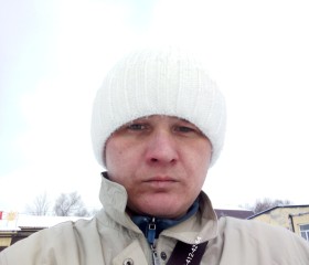 Кит, 34 года, Белово