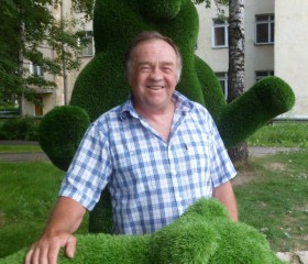 степан, 64 года, Псков
