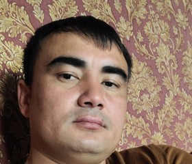 Жамал, 36 лет, Кострома