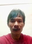 peri setiawan, 47 лет, Kuala Lumpur