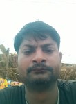 Pankajgupta, 26 лет, Kanpur