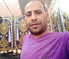 رجب, 25, Cairo