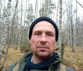 Владимир, 46 лет, Заволжск