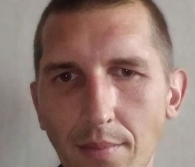 Александр, 42 года, Владимир