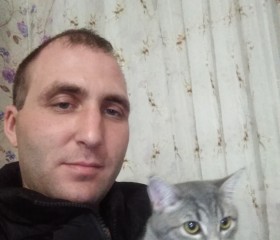 Виктор, 34 года, Тольятти