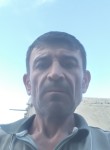 Зулфиддин - Toshkent