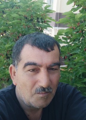Belik, 60, Azerbaijan, Sumqayit