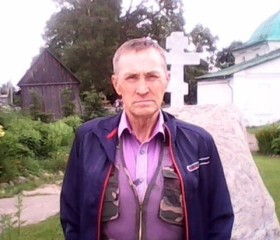 Александр, 70 лет, Ярославль