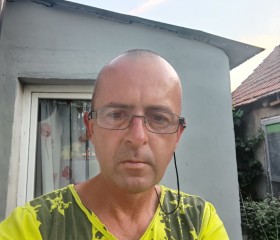 Ardelean alin, 49, Deta