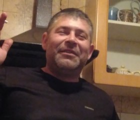 Алексей, 50 лет, Зарайск