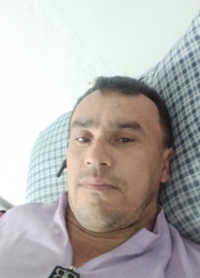 dima, 37, Uzbekistan, Tashkent