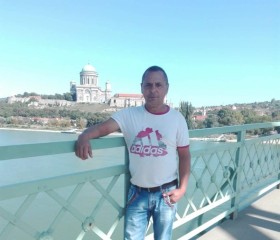 Kállai miklós, 52 года, Budapest