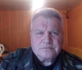 Владимир, 70 лет, Верхняя Пышма