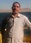 Hassan, 43 года, القاهرة