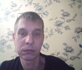 Алексей, 44 года, Саранск