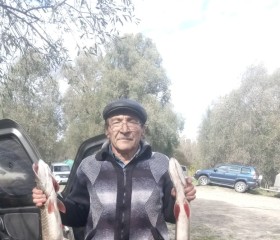 Виктор, 67 лет, Кемерово