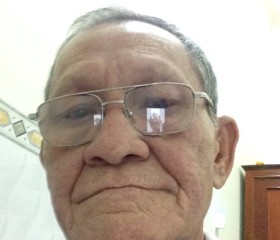 giathamlang, 67 лет, Hà Nội