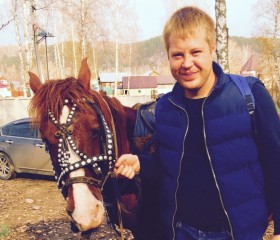 Борис, 37 лет, Новосибирск