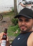 Gilberto , 37 лет, Campinas (Santa Catarina)