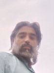 Zafar Supari, 36 лет, IGoli
