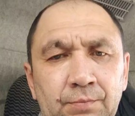 Rustam, 53, Novokuznetsk