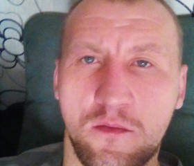 Михаил, 36 лет, Петрозаводск