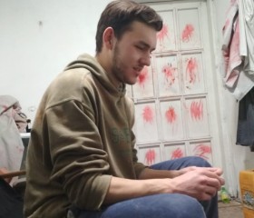Кирилл, 25 лет, Бишкек