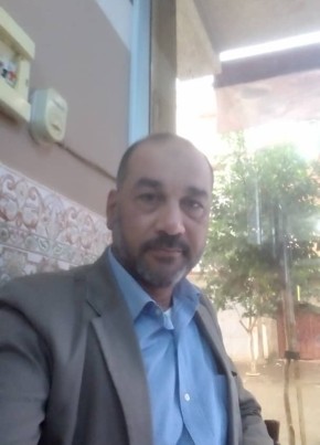 hany shaheen, 50, People’s Democratic Republic of Algeria, Algiers