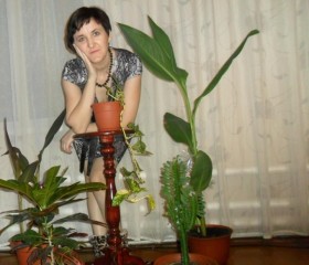 Оксана, 49 лет, Барнаул
