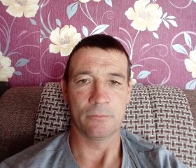 Vildan, 39, Samara